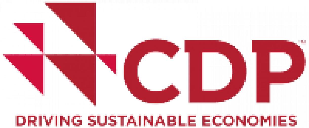 cdp logo