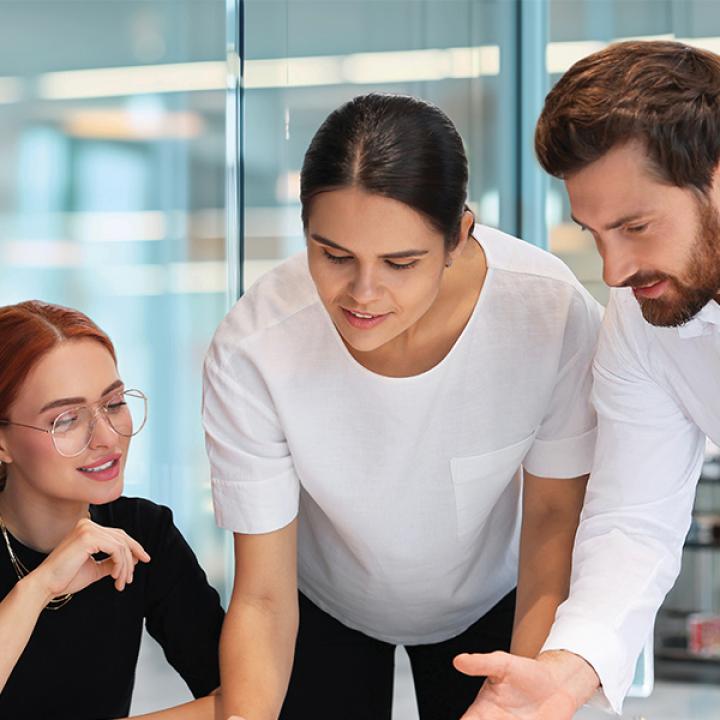 team working on a project